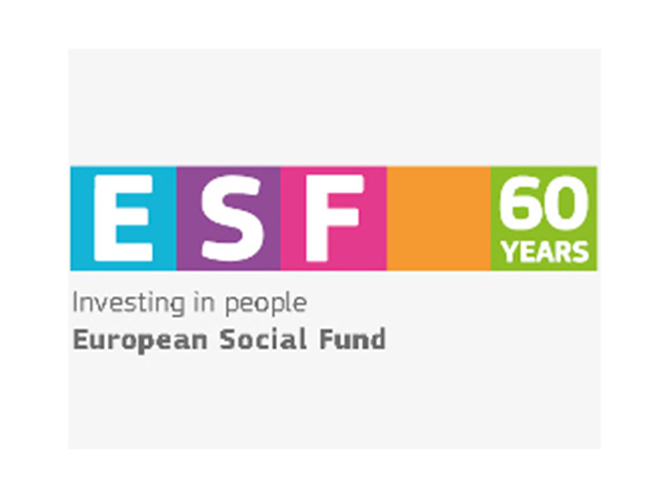 Diesis_Project_.jpg_0011_european social found logo