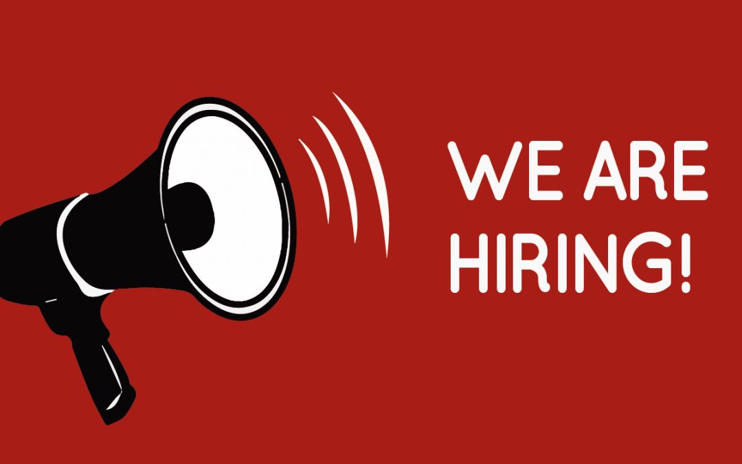 DIESIS is looking for 1 Project Manager to reinforce its team