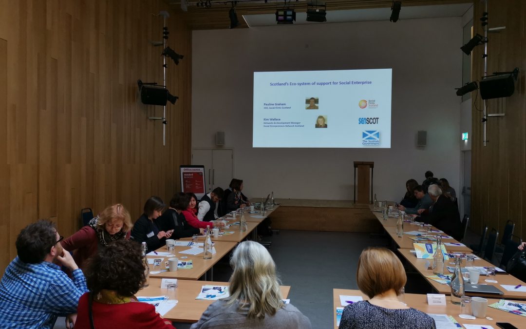 Building a Sustainable Social Enterprise Sector
