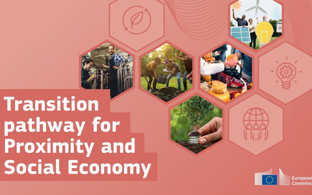 Diesis contribution to the Transition Pathway proximity & social economy – call for pledges