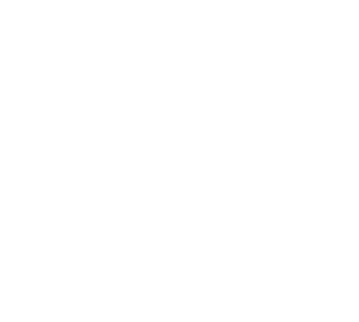 icon-mono-light