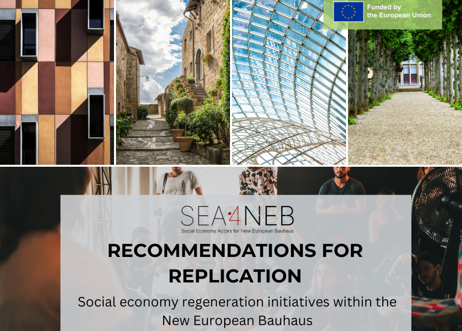 Policy recommendations of the SEA4NEB project
