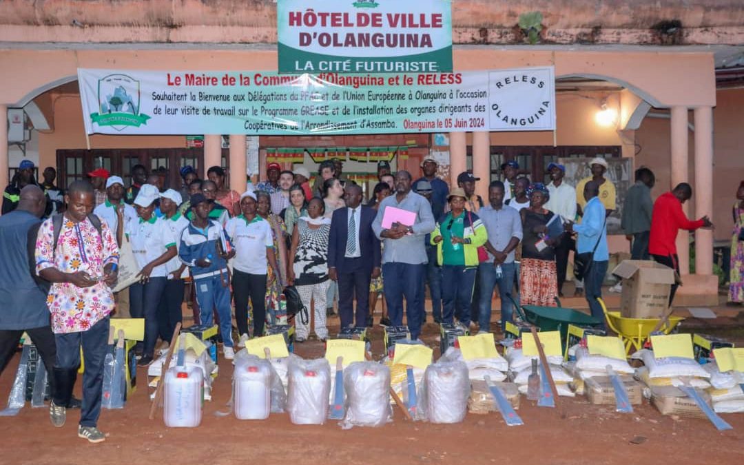 Study visit to Cameroon: FOR A’ESS – Social and solidarity Economy African Forum / Grease project