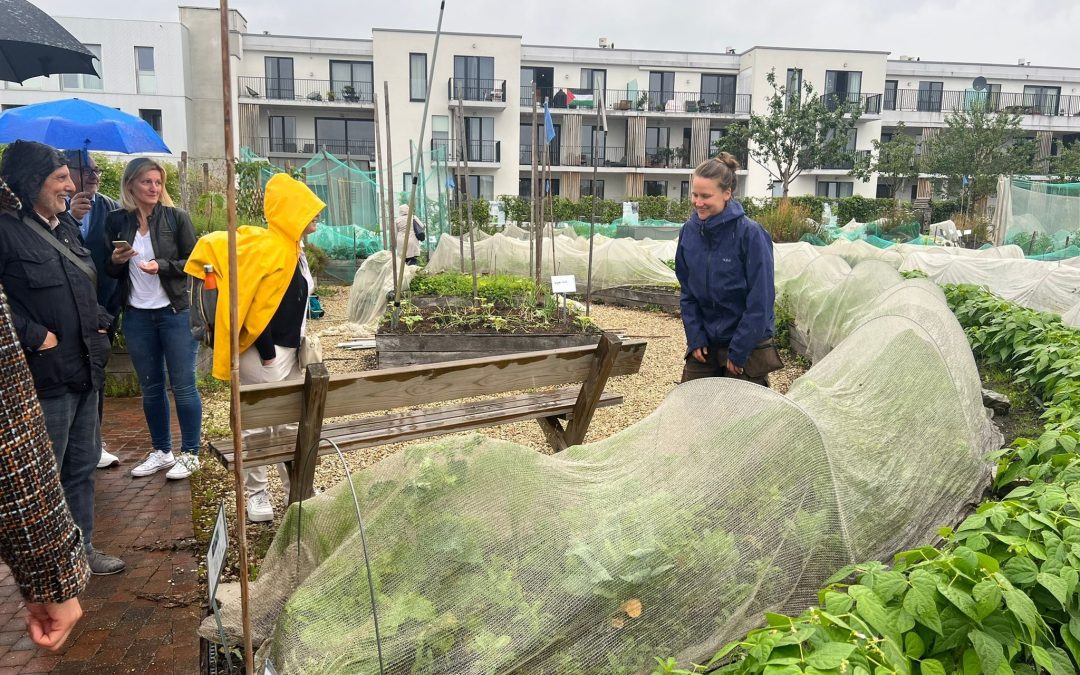Study visit to a rooftop urban garden under GRAINS project